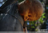 �������¹��죡���˲��������ġ����޵�����ͼ