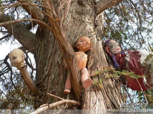 �������¹��죡���˲��������ġ����޵�����ͼ