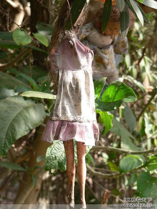 �������¹��죡���˲��������ġ����޵�����ͼ