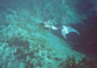 �����������������Ƭ ����Ȥ��_�׿���