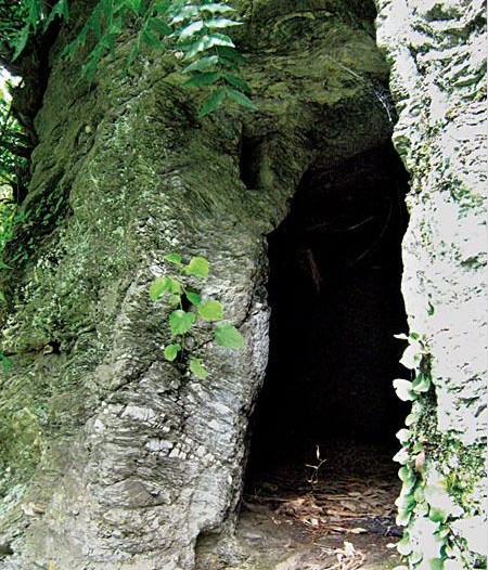 鄂西北山区传播的可骇传说:“自死窑”(文图
