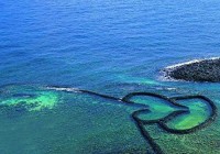 ���������Ƨ׹�� ���������п�����ͼ��