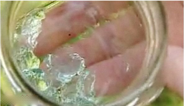 英国空中突降相同果冻一样平常的隐秘物质(图)