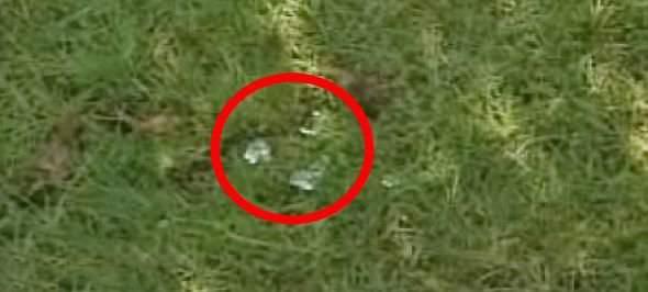 英国空中突降相同果冻一样平常的隐秘物质(图)