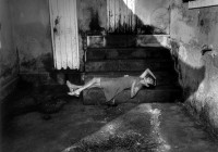 ��̽���߽������������ľ�����Ժ����Ƭ��