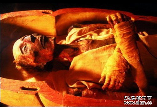 �������ţ��Ű��������������˺����(��ͼ)