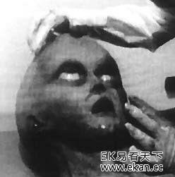 ������͵����� �ʽ�����������ʵ��