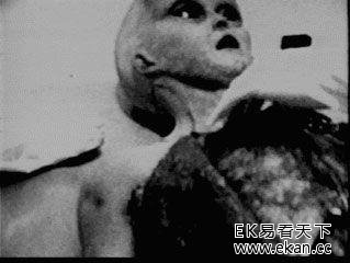 ������͵����� �ʽ�����������ʵ��