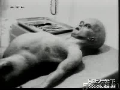 ������͵����� �ʽ�����������ʵ��