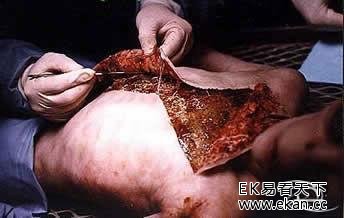 ������͵����� �ʽ�����������ʵ��