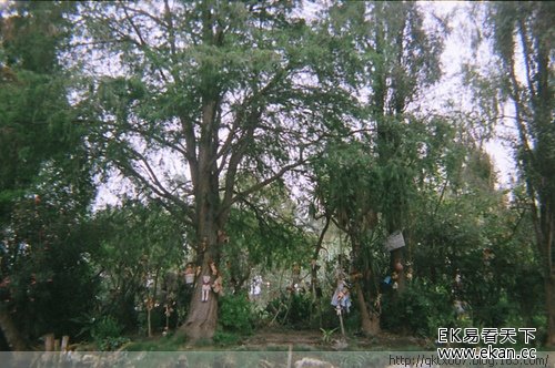 �������¹��죡���˲��������ġ����޵�����ͼ