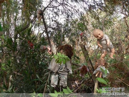 �������¹��죡���˲��������ġ����޵�����ͼ