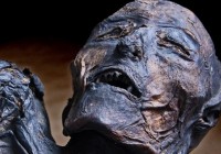 ԭ��ľ������ʵ�ʺ��������εĹ���ͼ��