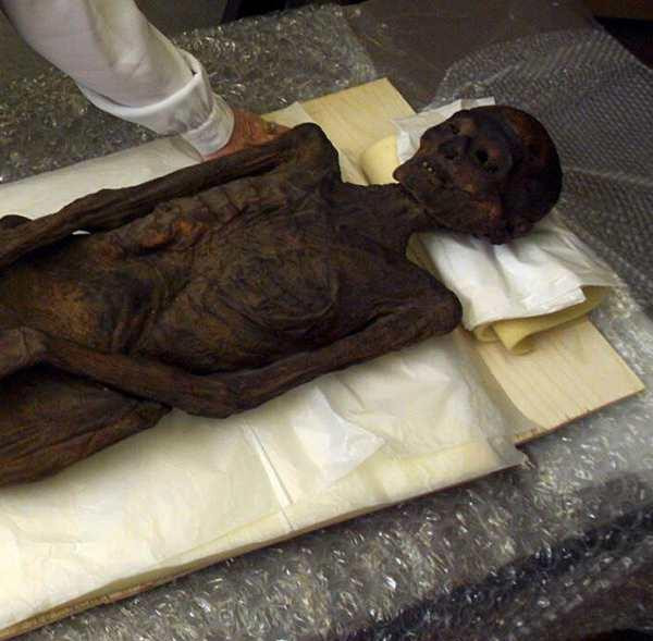 ԭ��ľ������ʵ�ʺ��������εĹ���ͼ��