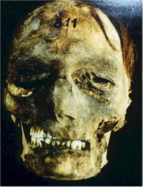 ԭ��ľ������ʵ�ʺ��������εĹ���ͼ��