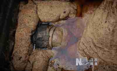 古墓挖出不腐女尸“不朽朱颜”从明代穿越而来