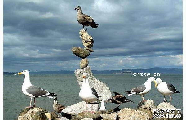 不解之谜!印尼民间人人的诡异石块均衡术