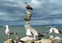 ����֮�գ�ӡ��������˵Ĺ���ʯ�������