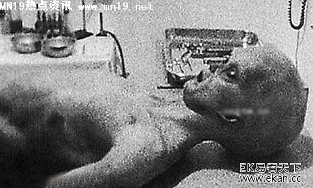 ��ʵ�������˽�����Ƭ��ͼ �����£�ͼ����