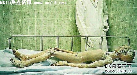 真实的外星人解密照片组图 震惊天下(图集)