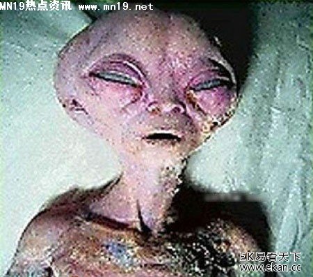 真实的外星人解密照片组图 震惊天下(图集)