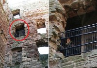 �������������𣿻�����Ȼ�ľ�㤡���Ӱ����