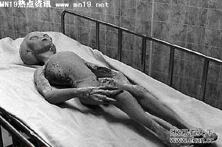 ��ʵ�������˽�����Ƭ��ͼ �����£�ͼ����