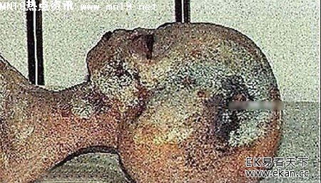 ��ʵ�������˽�����Ƭ��ͼ �����£�ͼ����