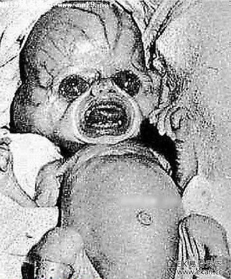 ��ʵ�������˽�����Ƭ��ͼ �����£�ͼ����