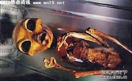 ��ʵ�������˽�����Ƭ��ͼ �����£�ͼ����