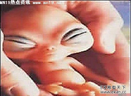 ��ʵ�������˽�����Ƭ��ͼ �����£�ͼ����