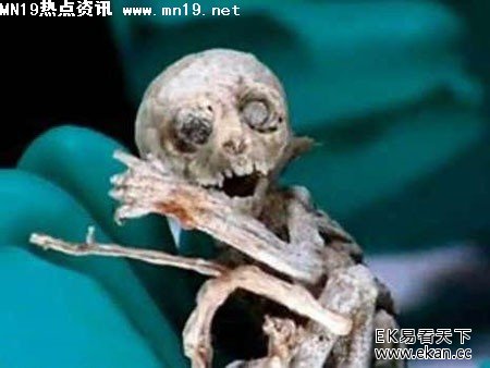 ��ʵ�������˽�����Ƭ��ͼ �����£�ͼ����